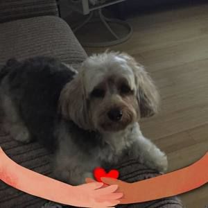 Meet your Posher, Karina